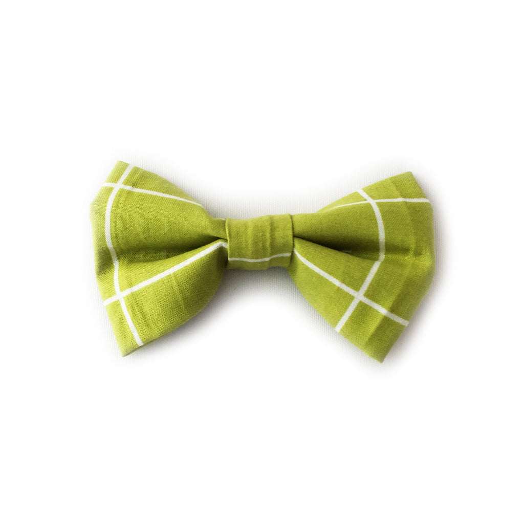 Bows in Green Square